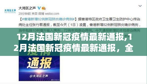 法國新冠疫情最新通報(bào)，當(dāng)前形勢解析及應(yīng)對策略探討