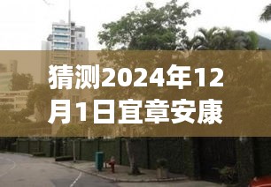 揭秘宜章安康小區(qū)，特色小店探秘與最新發(fā)展動態(tài)（2024年12月）