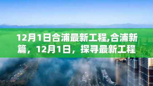 合浦新篇章，探尋最新工程之崛起（12月1日最新更新）
