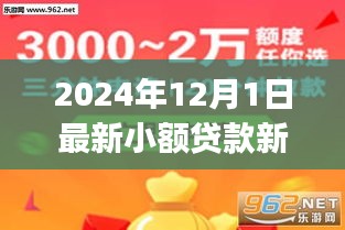 初學(xué)者與進(jìn)階用戶必備，2024年小額貸款新口子詳解及申請流程指南