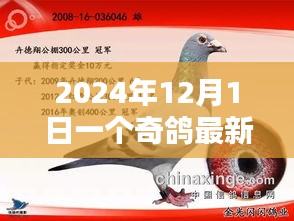 奇鴿最新版，2024年科技飛躍與深遠(yuǎn)影響的里程碑