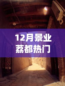 揭秘景業(yè)荔都小巷神秘小店，十二月味蕾與心靈的奇妙相遇