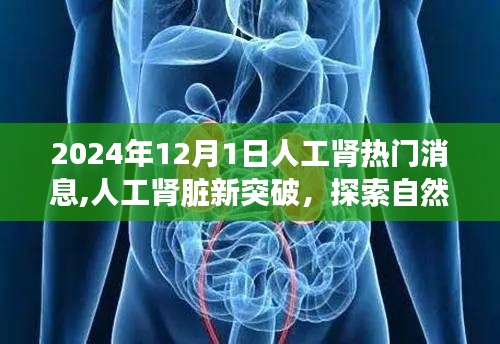 漫天飛舞 第5頁