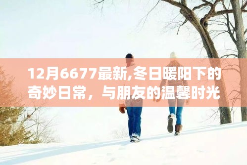 冬日暖陽下的溫馨日常，與朋友共度奇妙時光（12月最新分享）