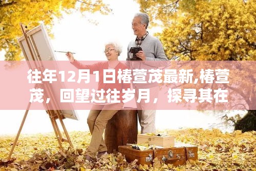 椿萱茂回望歲月，特定領(lǐng)域的獨(dú)特地位與深遠(yuǎn)影響