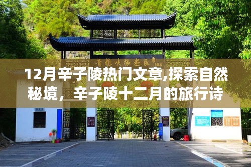 辛子陵十二月旅行詩篇，探索自然秘境，啟程尋找內(nèi)心的桃花源