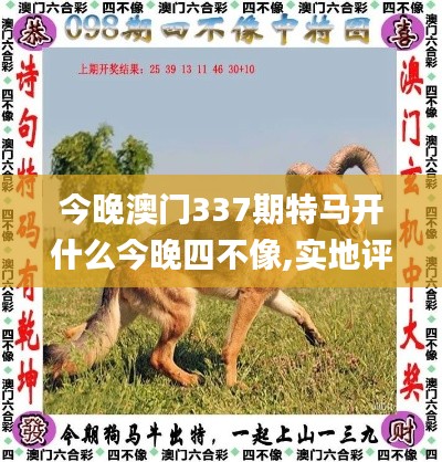 今晚澳門(mén)337期特馬開(kāi)什么今晚四不像,實(shí)地評(píng)估策略_精英款96.920-1