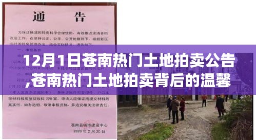 蒼南熱門(mén)土地拍賣(mài)背后的友情與家的邂逅