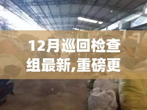 揭秘十二月巡回檢查組最新動(dòng)態(tài)與深度洞察，重磅更新揭秘背后細(xì)節(jié)