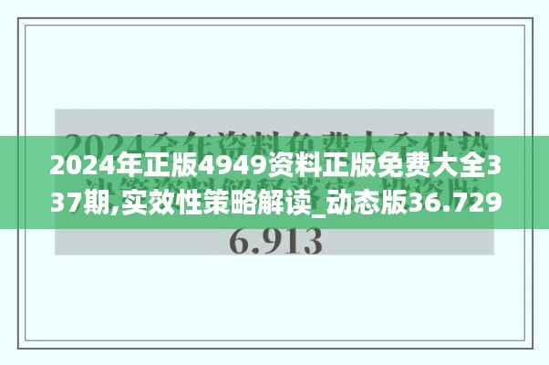 2024年正版4949資料正版免費大全337期,實效性策略解讀_動態(tài)版36.729-4