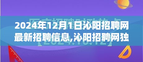 沁陽招聘網(wǎng)獨(dú)家爆料，2024年最新招聘信息全解析，理想工作等你來尋！