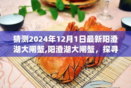 陽(yáng)澄湖大閘蟹的未來(lái)預(yù)測(cè)與歷史印記，探尋陽(yáng)澄湖大閘蟹在2024年的新動(dòng)態(tài)與趨勢(shì)展望