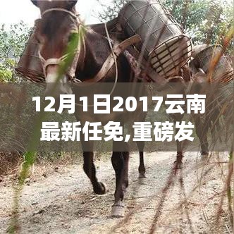 重磅發(fā)布，云南科技新品閃耀登場，智能革新體驗引領(lǐng)科技魅力