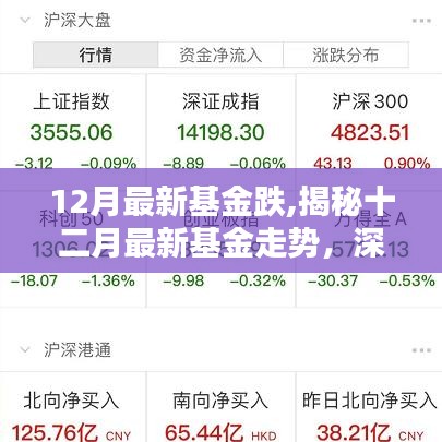 12月最新基金跌,揭秘十二月最新基金走勢，深度解析基金下跌背后的原因與應(yīng)對策略