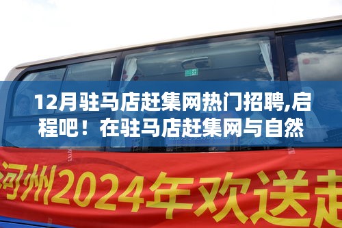 駐馬店趕集網(wǎng)12月熱門招聘，與自然美景的不期而遇，啟程尋找理想職業(yè)