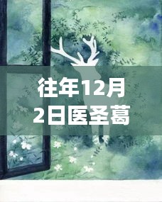探秘醫(yī)圣葛東旭與小巷美食寶藏，特色小店的奇妙之旅