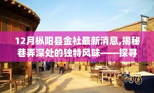 揭秘樅陽縣金社鎮(zhèn)巷弄深處的獨(dú)特風(fēng)味，神秘小店最新探秘之旅
