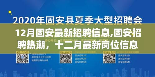 固安最新招聘熱潮，十二月崗位信息解析與洞察