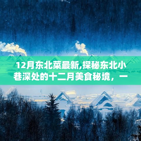 探秘東北小巷深處的十二月美食秘境，一家獨(dú)特魅力的東北菜小店新菜品展示