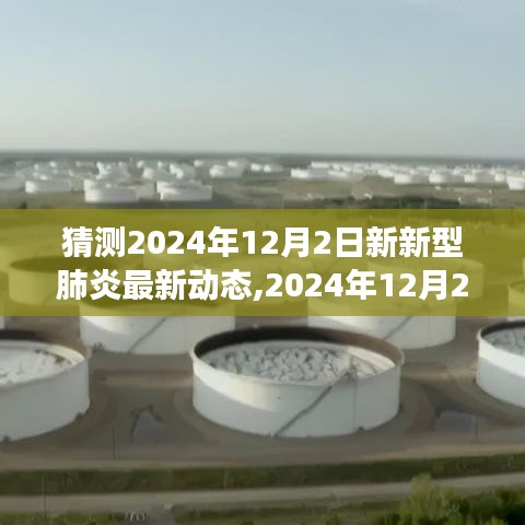 2024年12月2日新新型肺炎最新動態(tài)與影響洞察