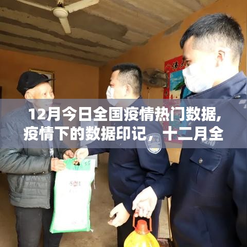 十二月全國疫情熱點深度解析，數(shù)據(jù)印記下的疫情形勢
