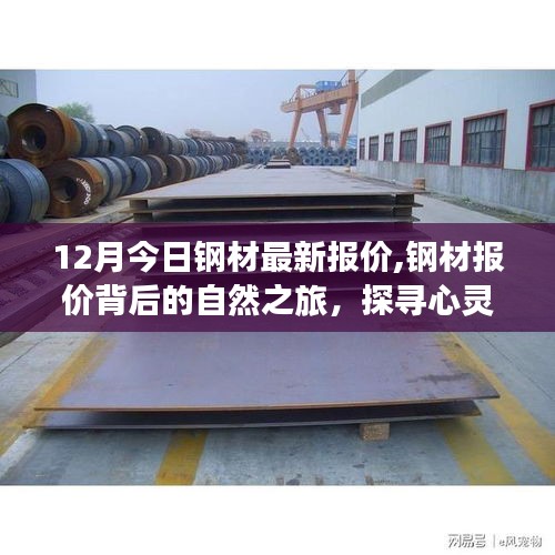 探尋心靈的寧靜與自然的饋贈，揭秘鋼材報價背后的自然之旅，最新鋼材報價一覽（今日十二月）