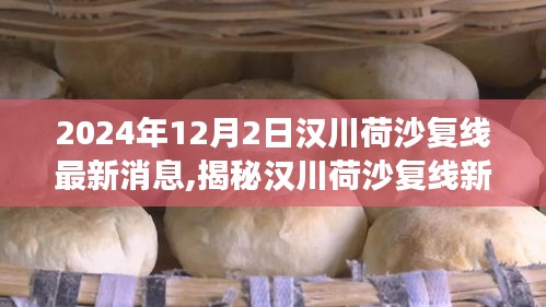 揭秘漢川荷沙復線新動態(tài)，美食寶藏藏于小巷特色小店中的新發(fā)現(xiàn)（最新消息）