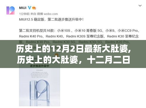 歷史上的大肚婆，回望與反思的十二月二日故事