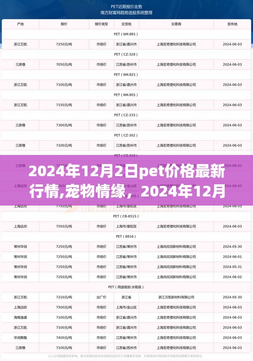 寵物情緣，揭秘寵物價(jià)格背后的故事與最新行情