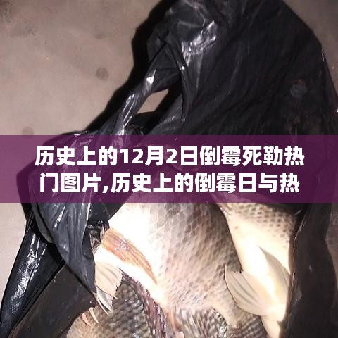 歷史上的倒霉日與倒霉死勒熱門圖片，深度解析一款獨特產品的特性與體驗