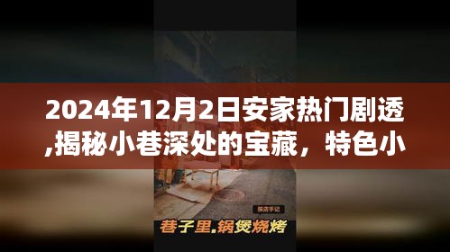 獨(dú)家揭秘，小巷寶藏特色小店——安家熱門劇透 2024年12月2日