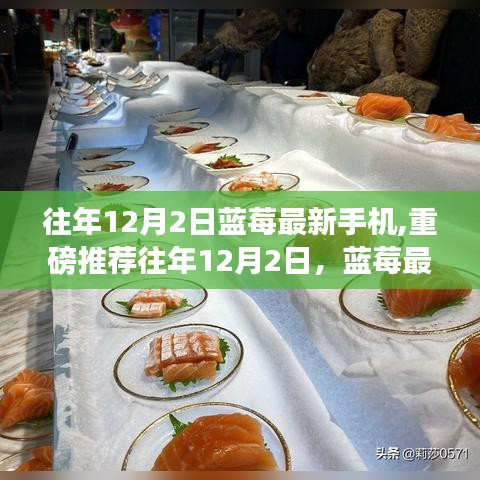 『藍(lán)莓最新手機引領(lǐng)科技潮流，性能與顏值的雙重盛宴，重磅推薦』