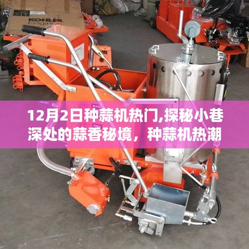 探秘小巷深處的蒜香秘境，種蒜機(jī)熱潮下的獨特小店，揭秘?zé)衢T種蒜機(jī)背后的故事