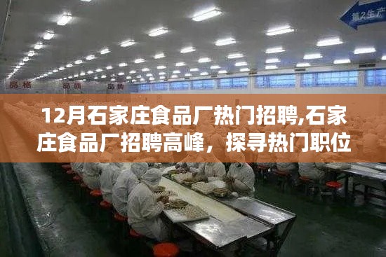 12月石家莊食品廠招聘熱潮，熱門職位與職業(yè)前景探索