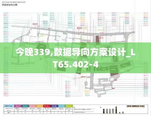 今晚339,數(shù)據(jù)導(dǎo)向方案設(shè)計(jì)_LT65.402-4
