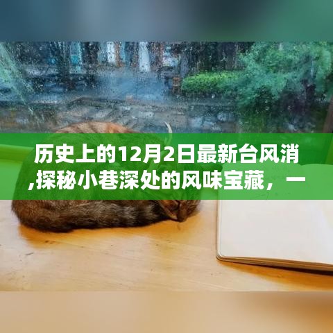 探秘歷史臺風(fēng)背后的獨特小巷美食寶藏，一家隱藏在小巷深處的風(fēng)味小店