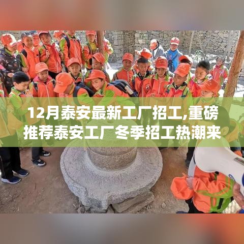 泰安冬季工廠招工熱潮來襲，最新崗位等你來加入！