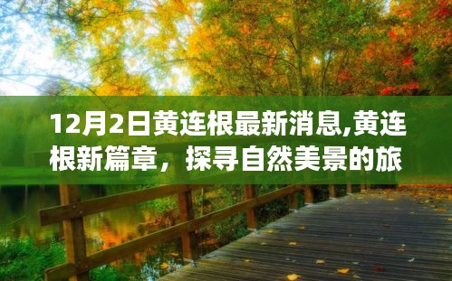 黃連根新篇章，探尋自然美景之旅，心靈寧靜的呼喚與笑聲相伴