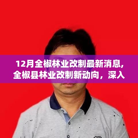全椒縣林業(yè)改制最新動態(tài)，深度解析與觀點(diǎn)闡述