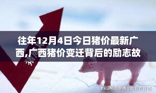 廣西歷年12月4日豬價變遷背后的勵志故事，擁抱自信與成就感，學(xué)習(xí)變化之路。