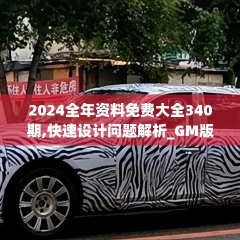 2024全年資料免費(fèi)大全340期,快速設(shè)計問題解析_GM版56.263-2