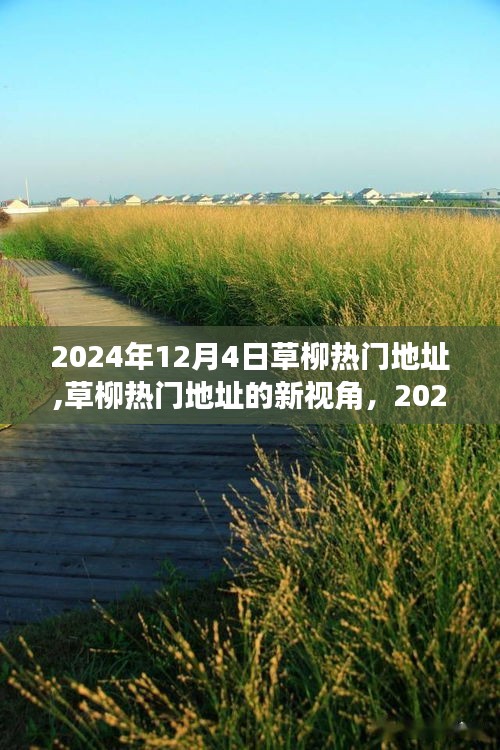 草柳熱門(mén)地址，獨(dú)特魅力與爭(zhēng)議下的新視角——2024年12月4日