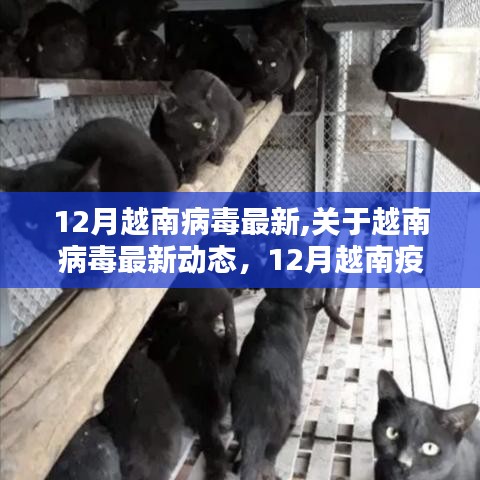 12月越南病毒最新動(dòng)態(tài)，疫情應(yīng)對(duì)指南與防護(hù)技能學(xué)習(xí)全解析