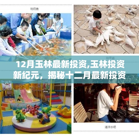 揭秘玉林投資新紀(jì)元，十二月最新投資熱點(diǎn)深度解析