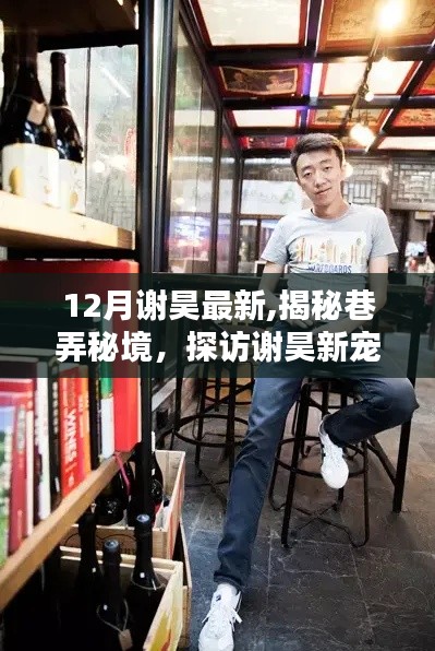 探訪謝昊新寵，揭秘巷弄秘境，特色小店隱藏在小巷中的十二月新發(fā)現(xiàn)