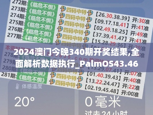 2024澳門今晚340期開獎結(jié)果,全面解析數(shù)據(jù)執(zhí)行_PalmOS43.464-9