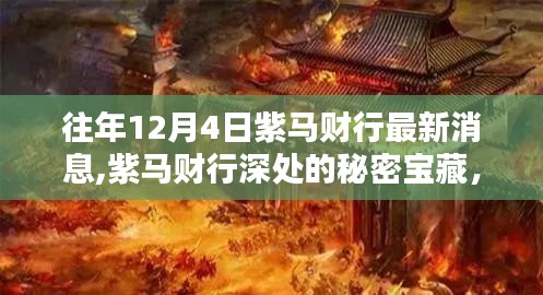 紫馬財行深處的秘密寶藏，最新消息與小巷特色小店新發(fā)現(xiàn)揭秘