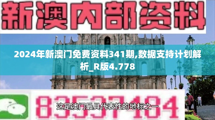 2024年新澳門免費資料341期,數(shù)據(jù)支持計劃解析_R版4.778