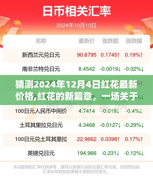 紅花未來篇章，溫馨預(yù)測之旅，探尋2024年紅花最新價(jià)格展望