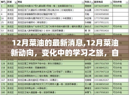 12月菜油市場(chǎng)最新動(dòng)態(tài)，變化中的學(xué)習(xí)之旅，自信與成就感的源泉